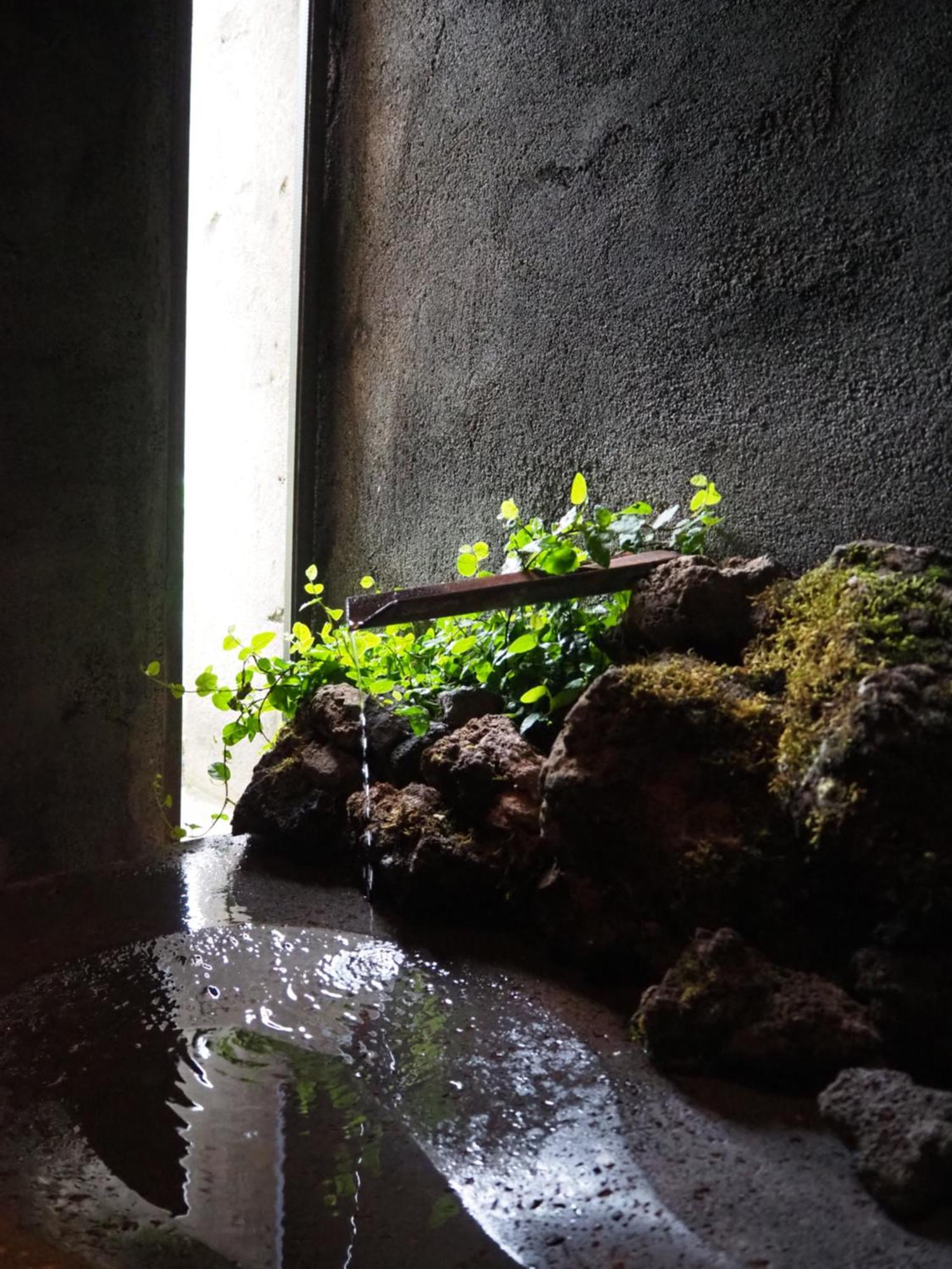 Hostal Les Cols Pavellons Olot Exterior foto