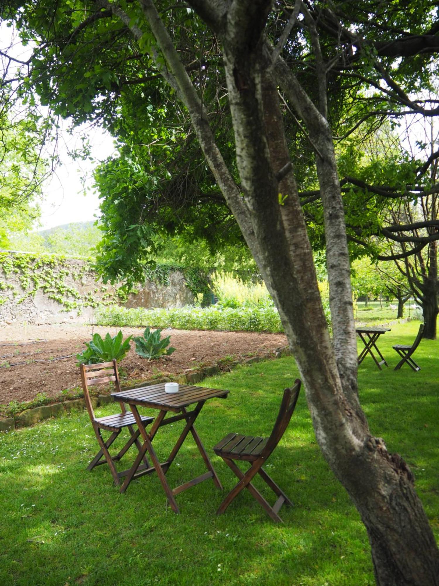 Hostal Les Cols Pavellons Olot Exterior foto